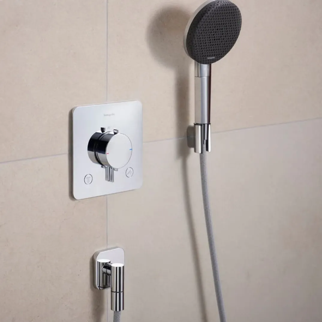 Hansgrohe Porter Fine douchekophouder