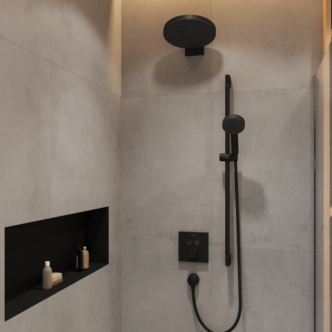 Hansgrohe Pulsify 260 douchearm