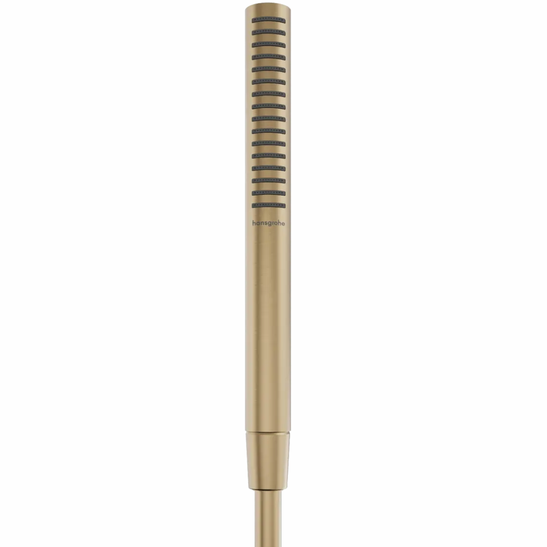 Hansgrohe Pulsify S100 EcoSmart handdouche