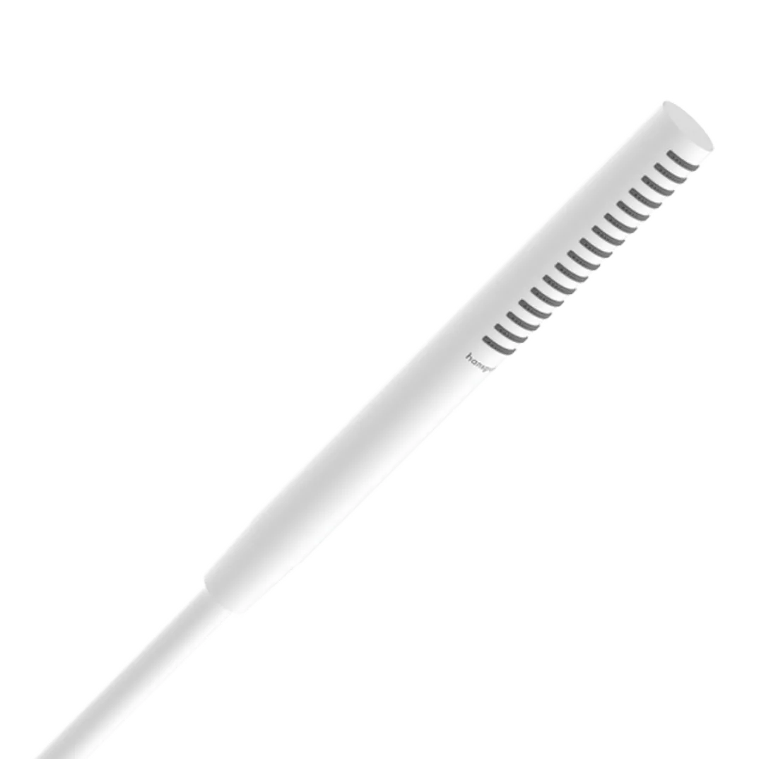 Hansgrohe Pulsify S100 EcoSmart handdouche