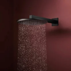 Hansgrohe Raindance Alive S regendouchekop