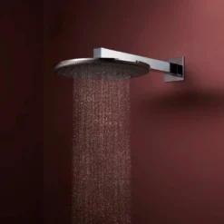 Hansgrohe Raindance Alive S regendouchekop