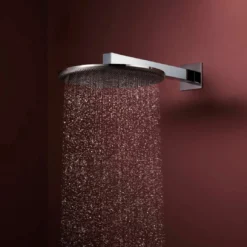 Hansgrohe Raindance Alive S regendouchekop