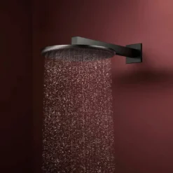 Hansgrohe Raindance Alive S regendouchekop