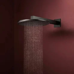 Hansgrohe Raindance Alive S regendouchekop