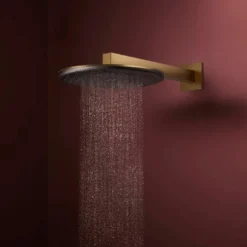 Hansgrohe Raindance Alive S regendouchekop