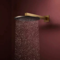 Hansgrohe Raindance Alive S regendouchekop