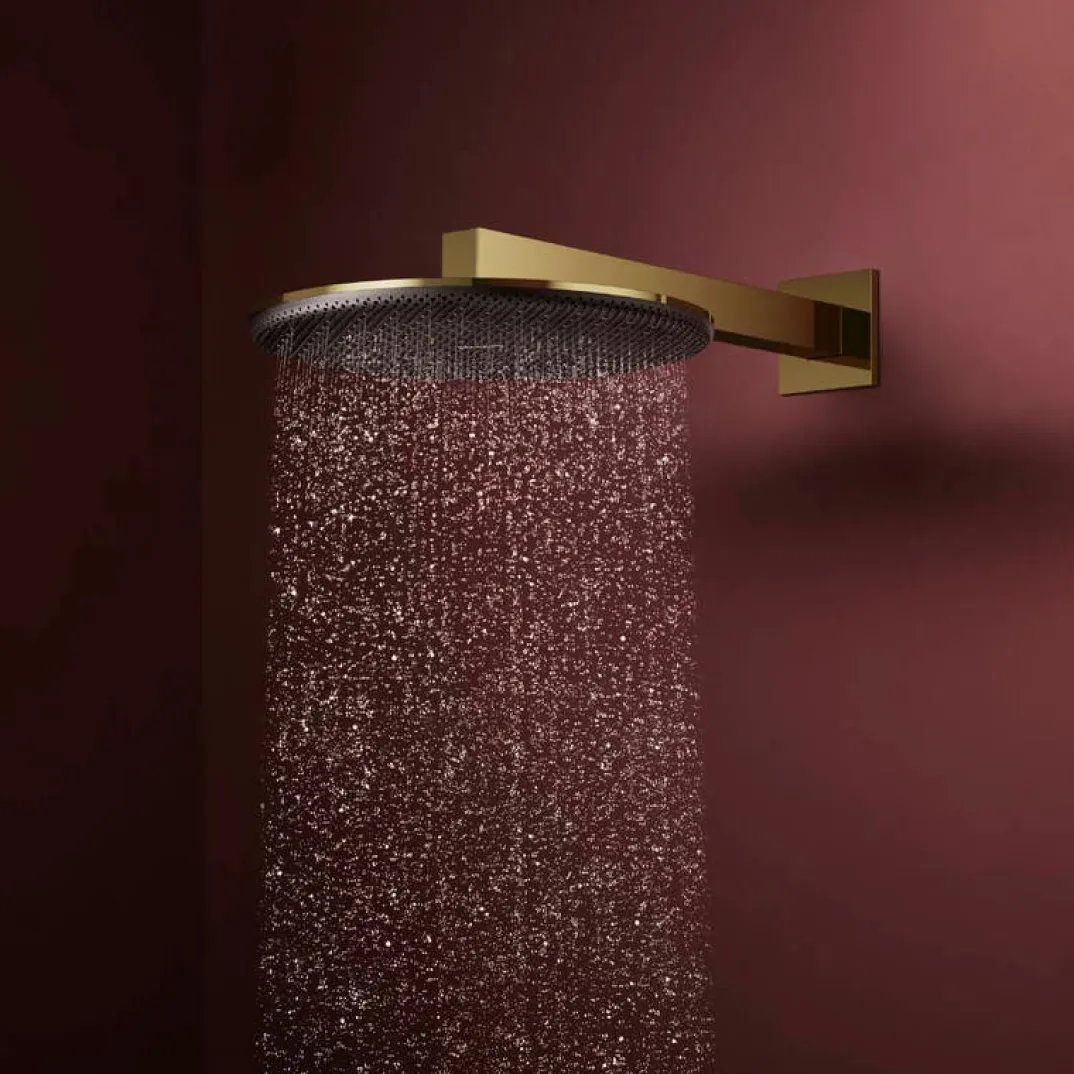 Hansgrohe Raindance Alive S regendouchekop