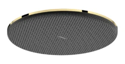 Hansgrohe Raindance Alive S regendouchekop