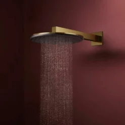 Hansgrohe Raindance Alive S regendouchekop