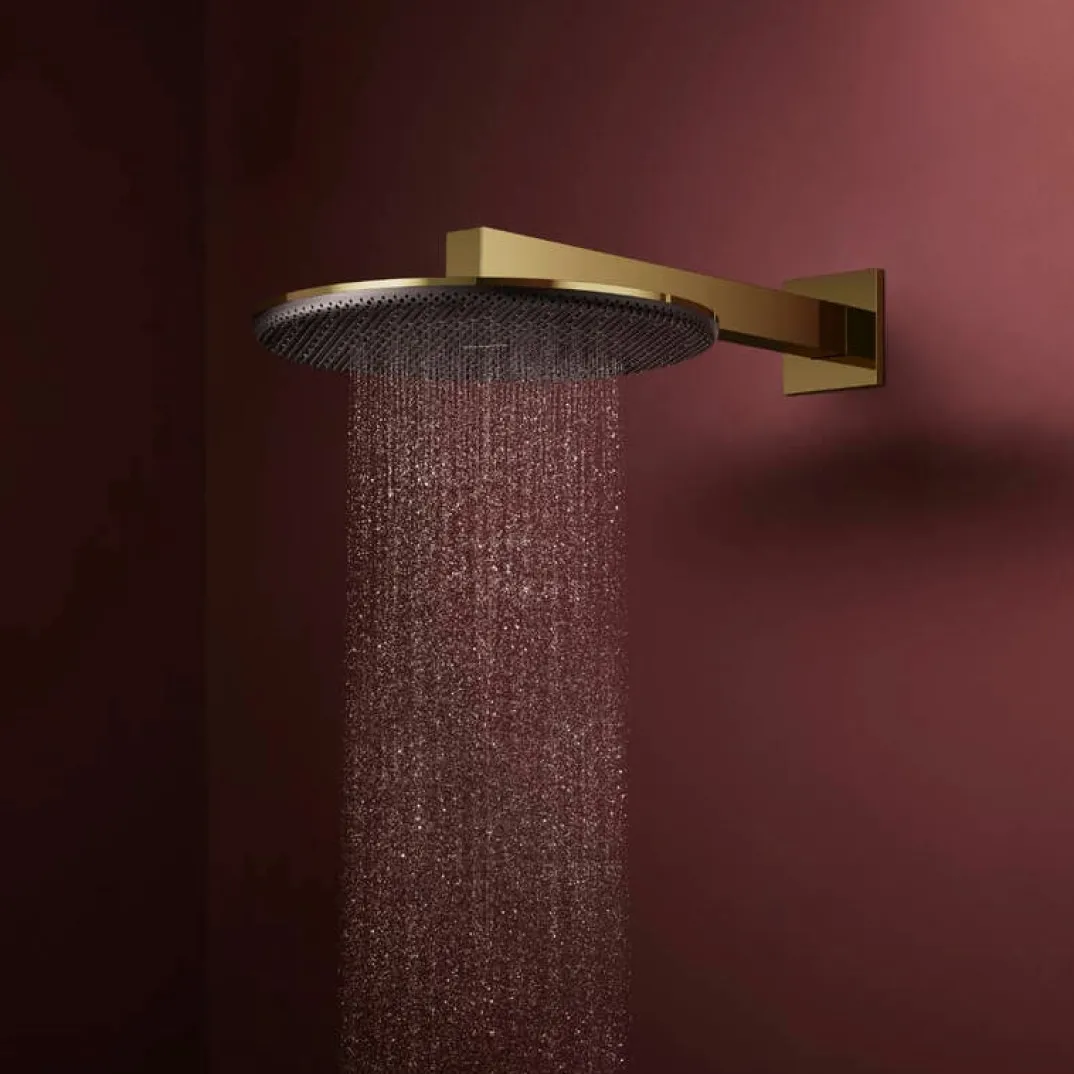 Hansgrohe Raindance Alive S regendouchekop