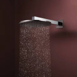 Hansgrohe Raindance Alive S regendouchekop