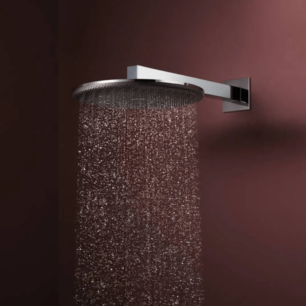 Hansgrohe Raindance Alive S regendouchekop