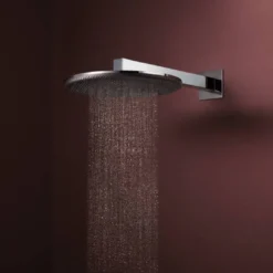Hansgrohe Raindance Alive S regendouchekop