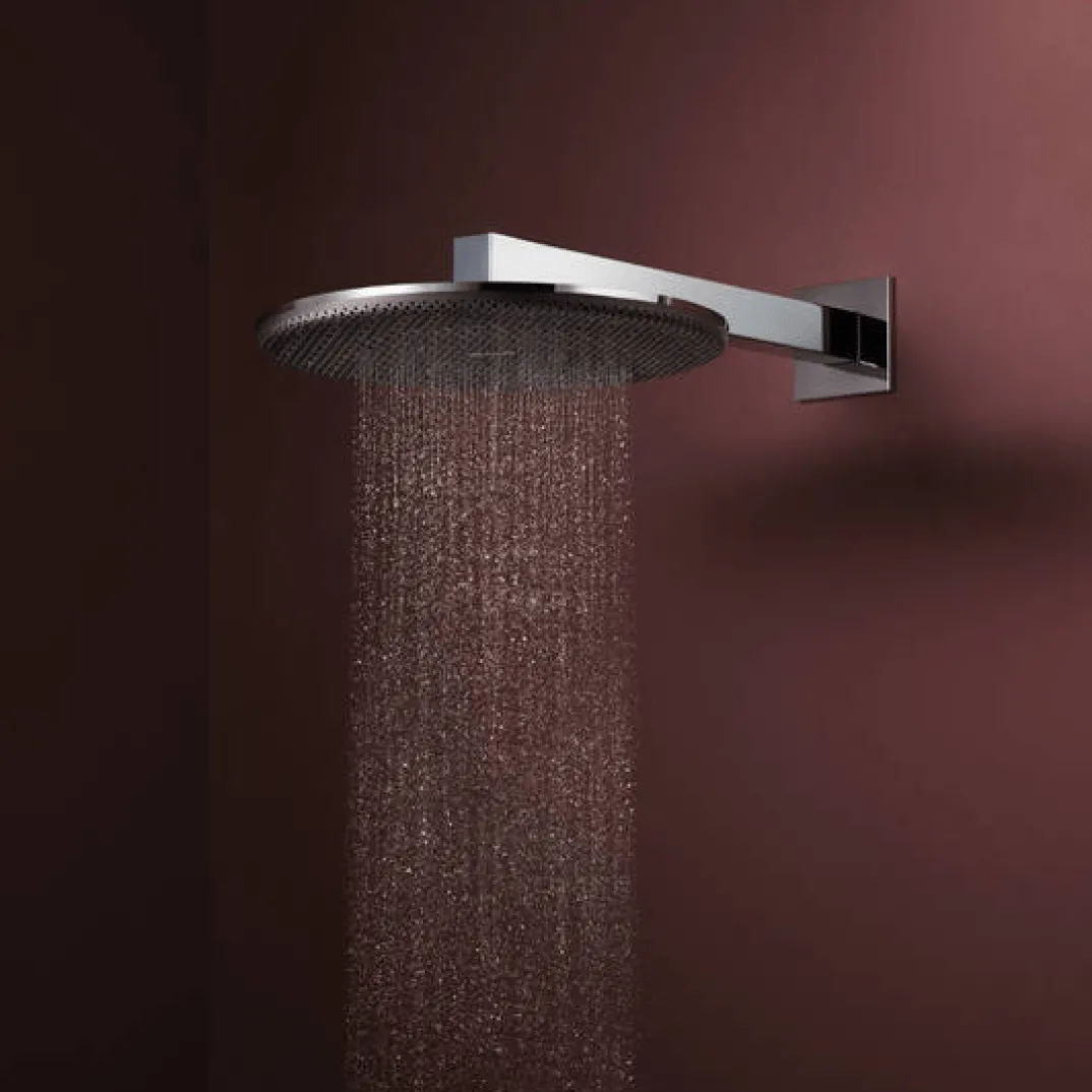 Hansgrohe Raindance Alive S regendouchekop