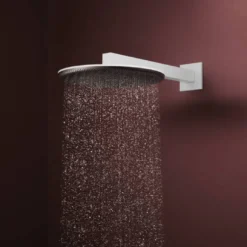 Hansgrohe Raindance Alive S regendouchekop
