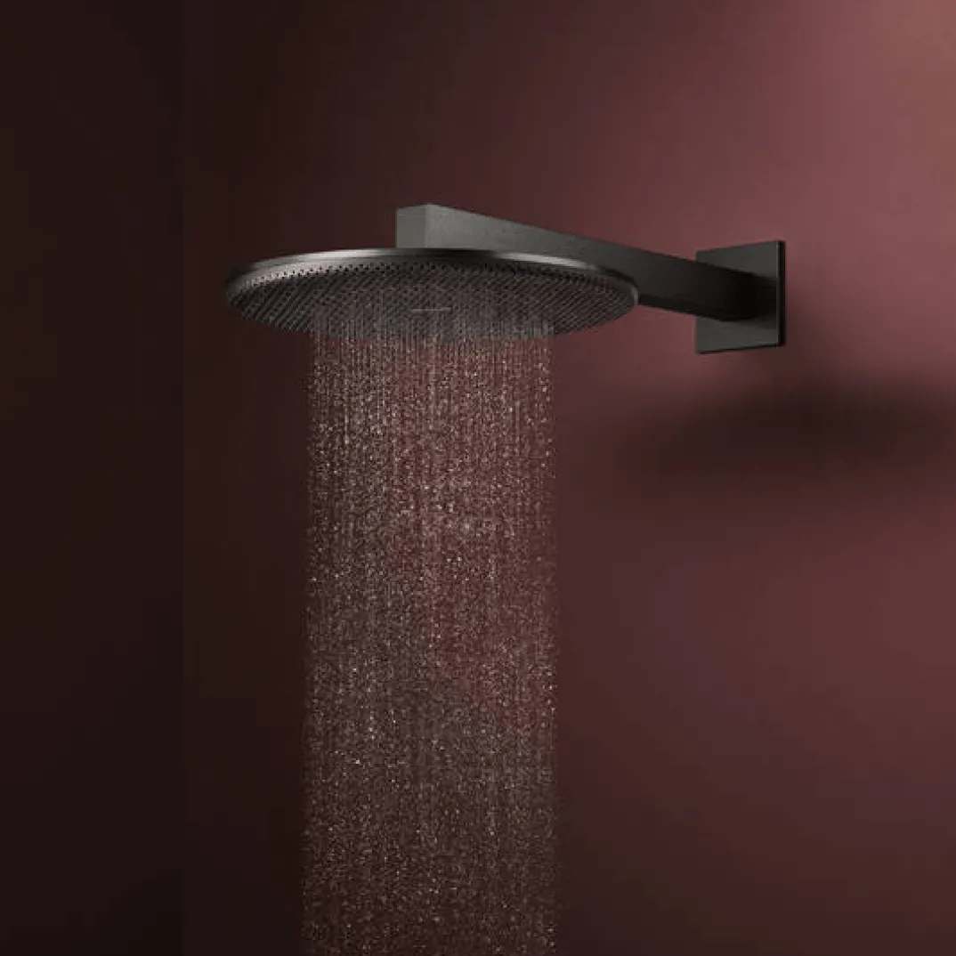 Hansgrohe Raindance Alive S regendouchekop