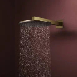 Hansgrohe Raindance Alive S regendouchekop
