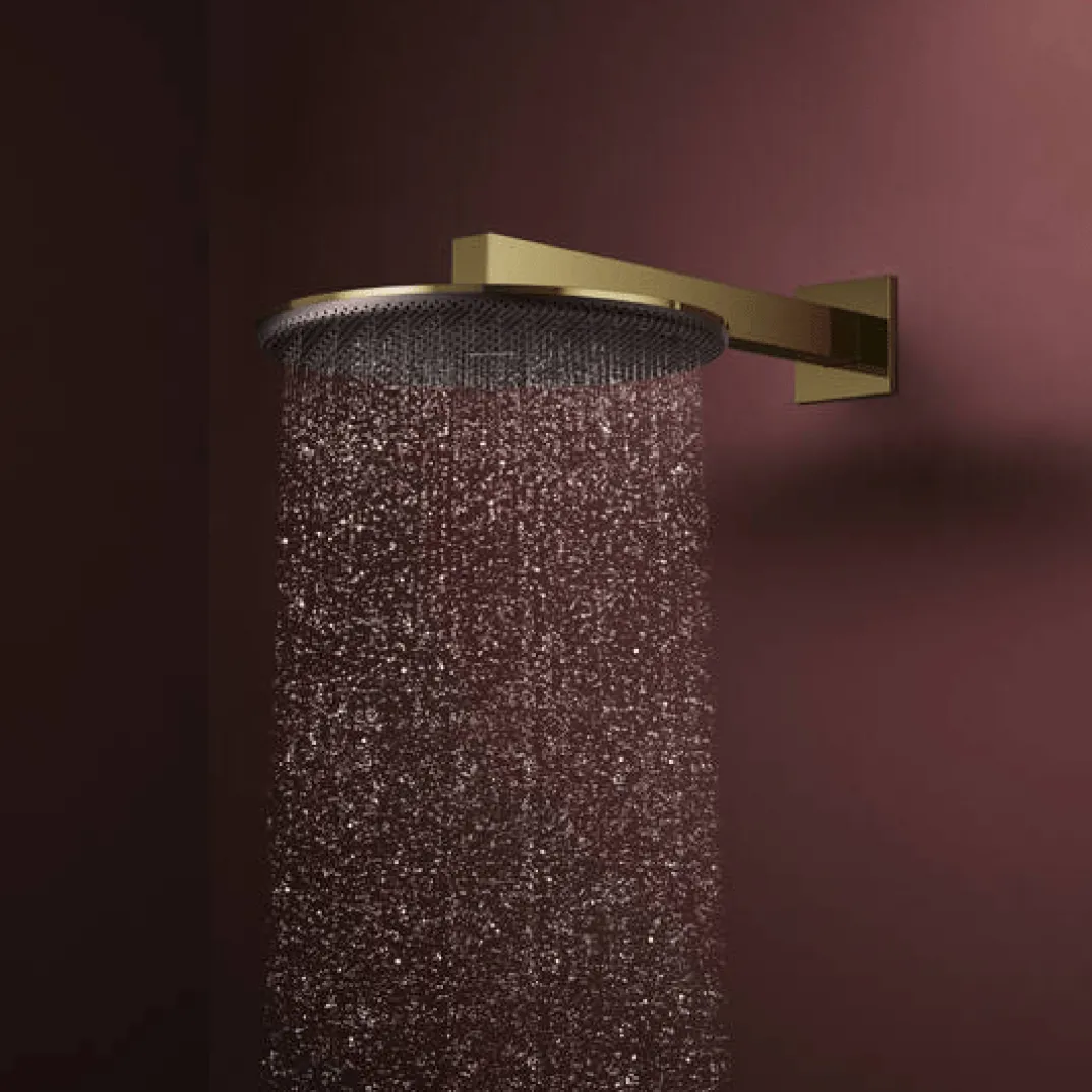 Hansgrohe Raindance Alive S regendouchekop