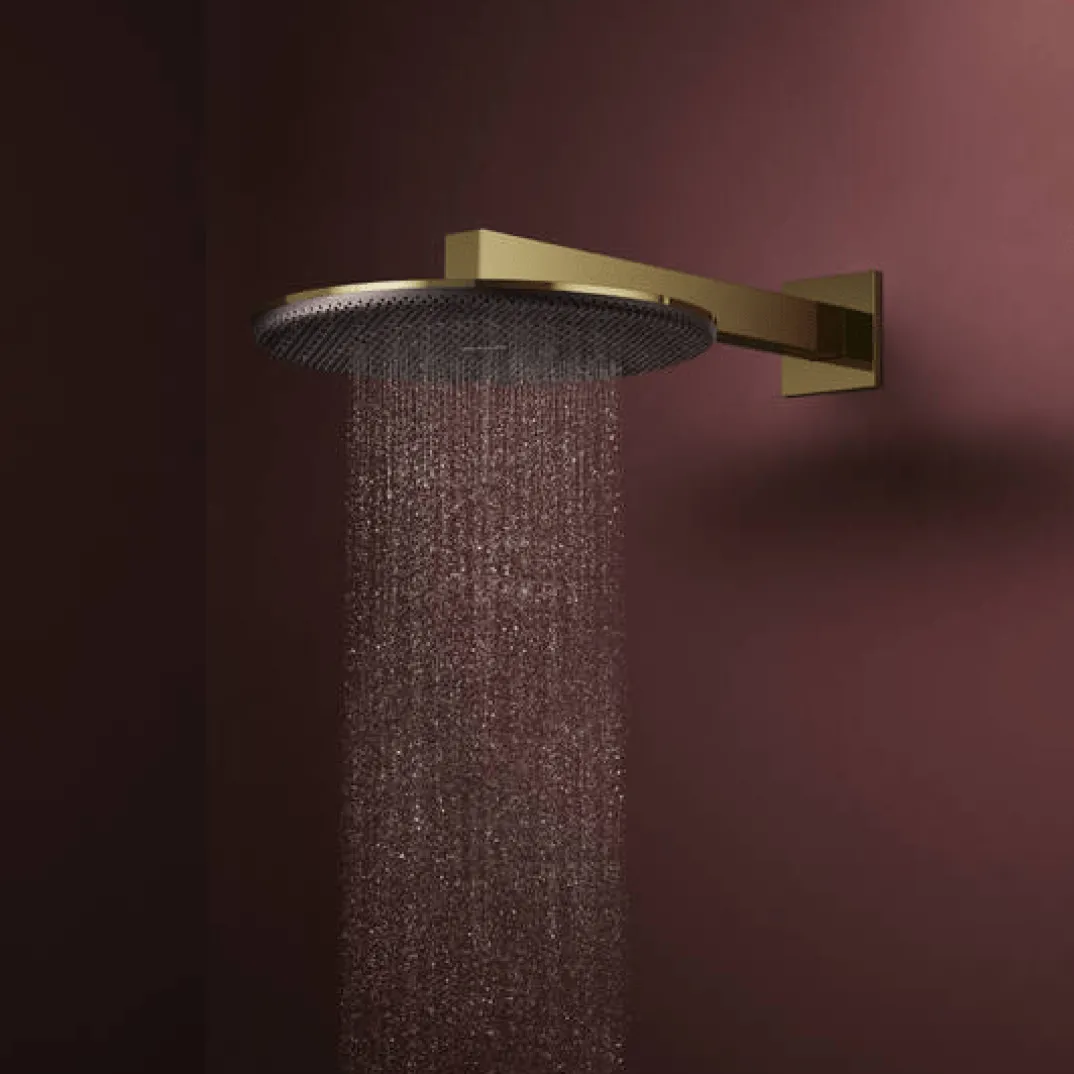 Hansgrohe Raindance Alive S regendouchekop