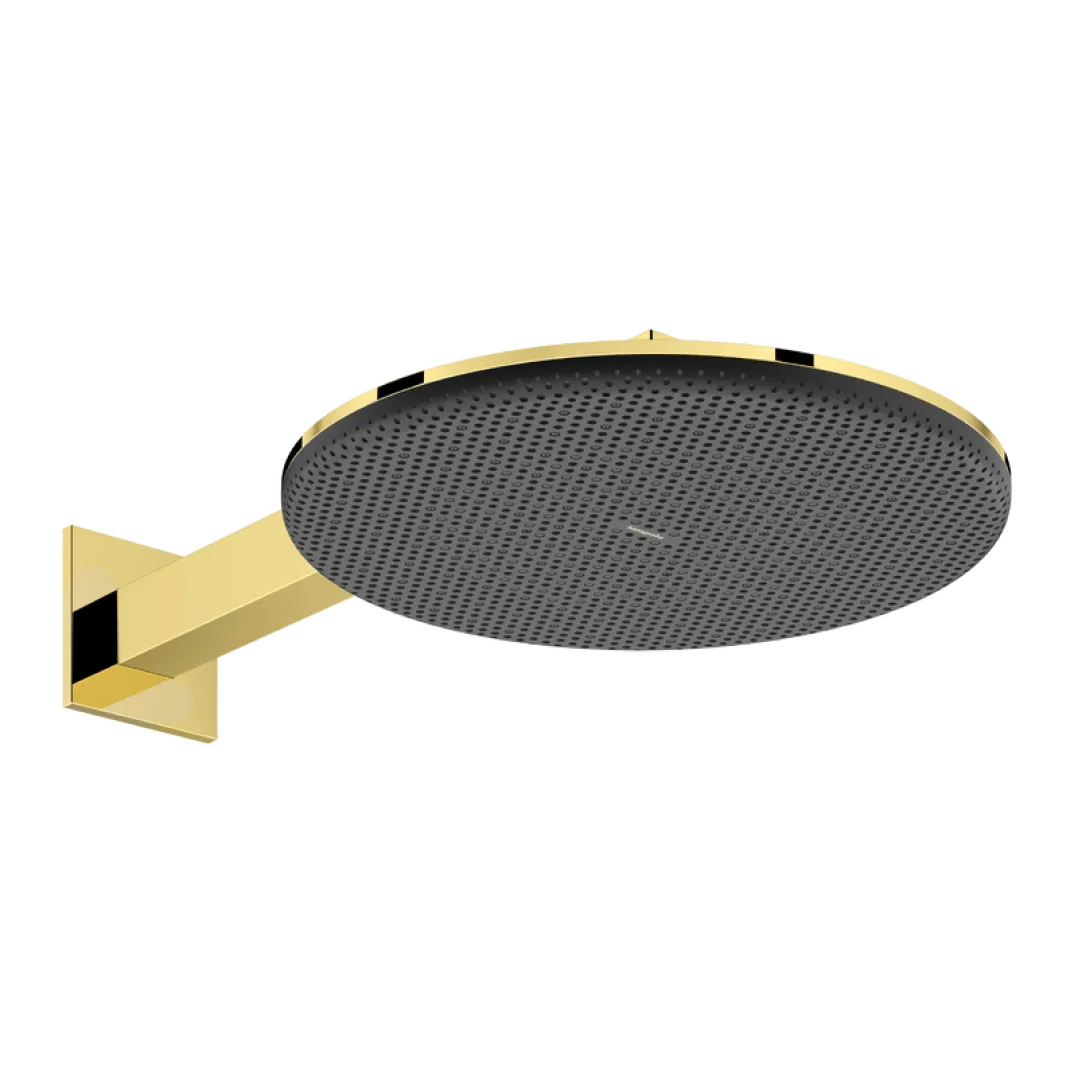 Hansgrohe Raindance Alive S regendouchekop