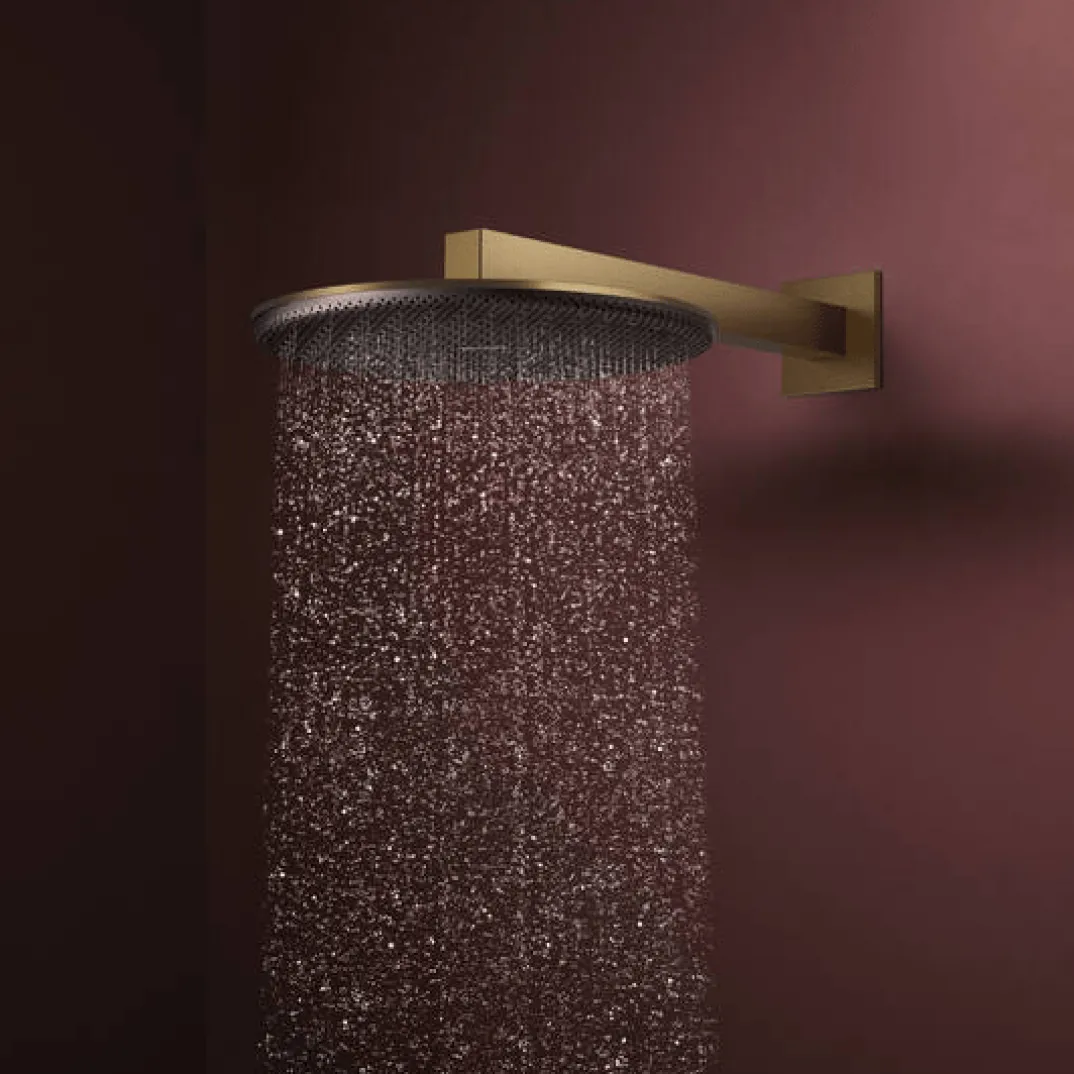 Hansgrohe Raindance Alive S regendouchekop