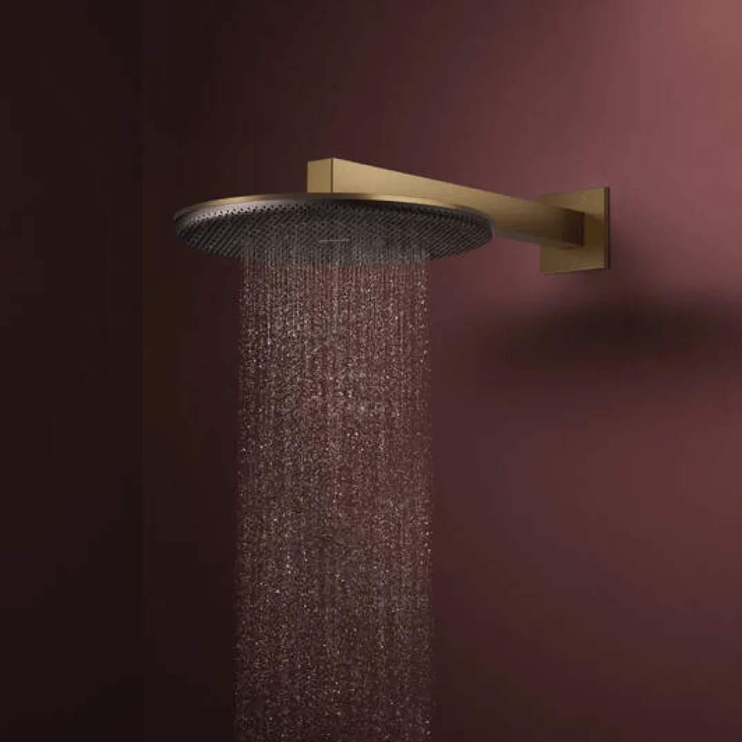 Hansgrohe Raindance Alive S regendouchekop