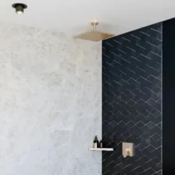 Hansgrohe Raindance E300 regendouchekop