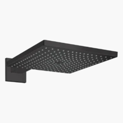 Hansgrohe Raindance E300 regendouchekop