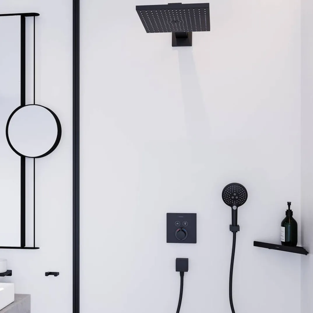 Hansgrohe Raindance E300 regendouchekop