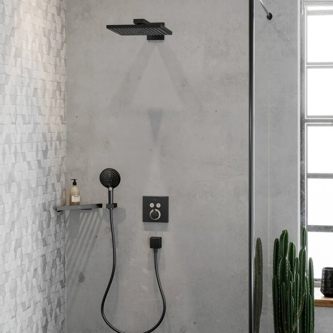 Hansgrohe Raindance E300 regendouchekop