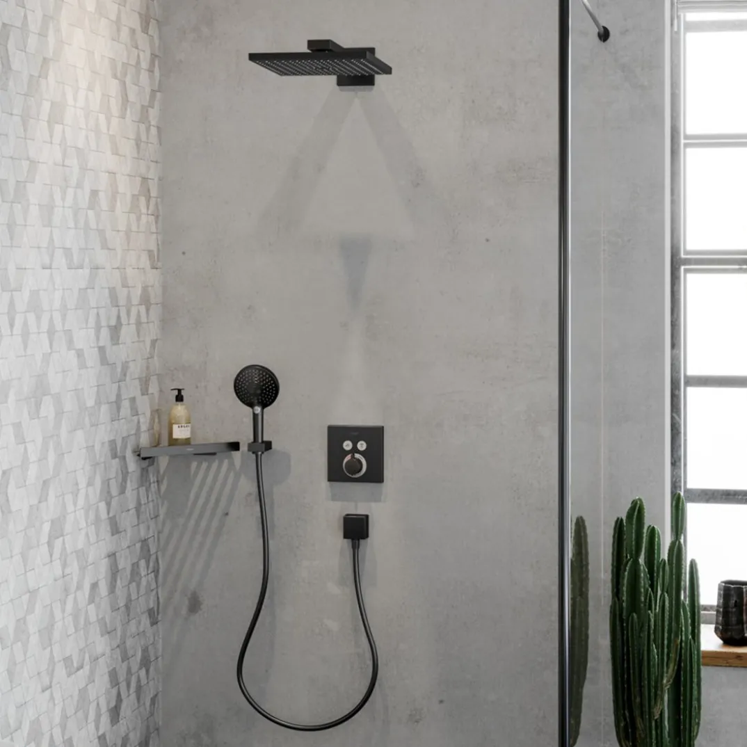 Hansgrohe Raindance E300 regendouchekop