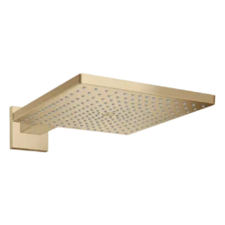 Hansgrohe Raindance E300 regendouchekop