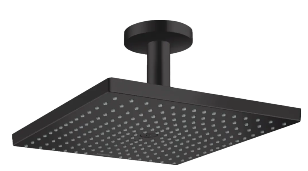 Hansgrohe Raindance E300 regendouchekop