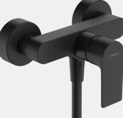 Hansgrohe Rebris E douchekraan
