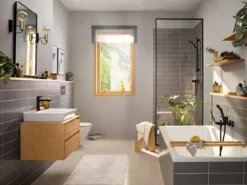 Hansgrohe Rebris E douchekraan