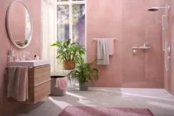 Hansgrohe WallStoris douche accessoire set